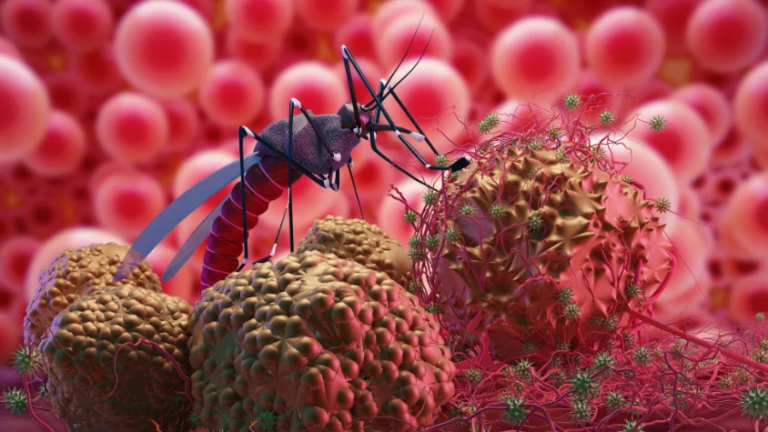 malaria treatment in india