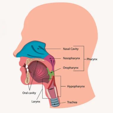 head and neck cancer surgery in india