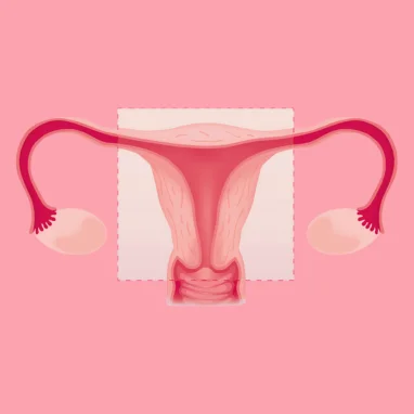 hysterectomy surgery in india
