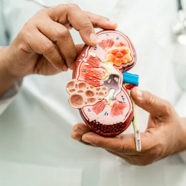 pediatric nephrology in India