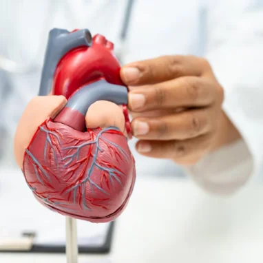 tricuspid valve surgery in india