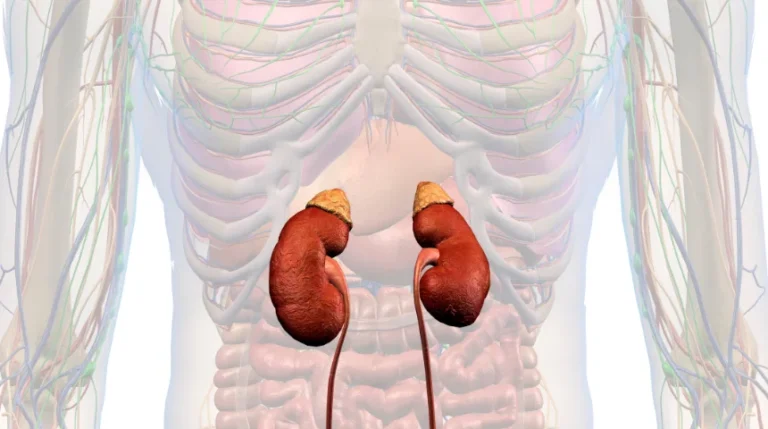 adrenal biopsy