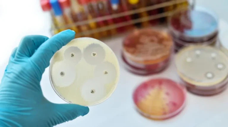 antibiotic susceptibility test