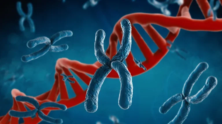 calr mutation test