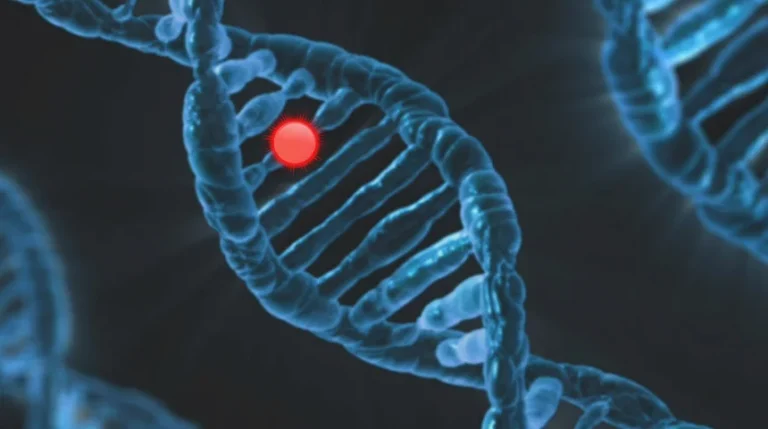factor ii mutation