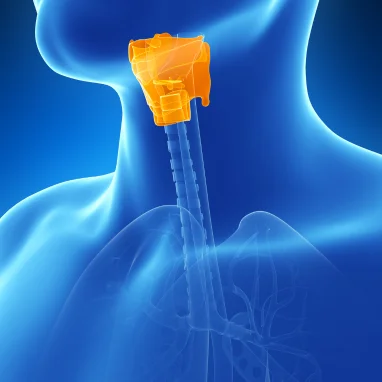 Typhoid