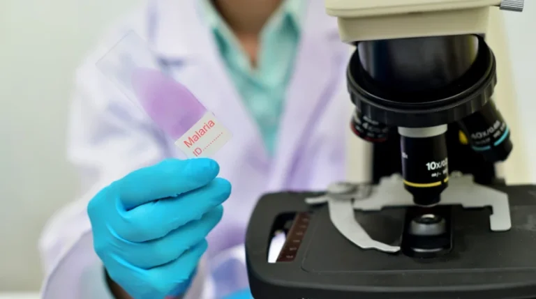malaria parasite identification test