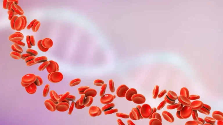 rbc antibody screen