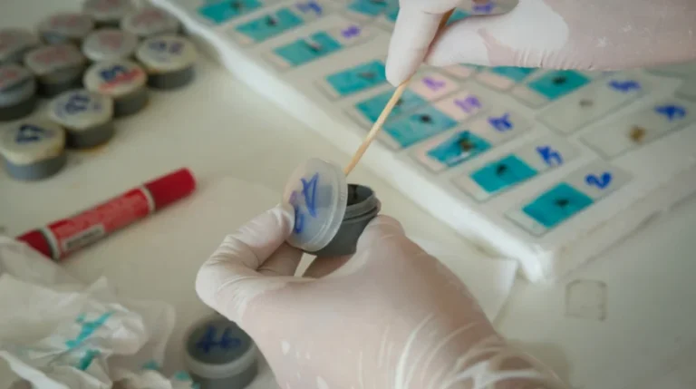 stool elastase test