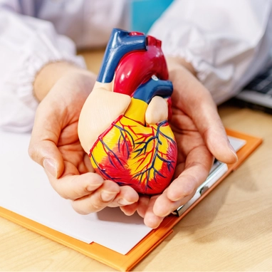 beating heart surgery in india