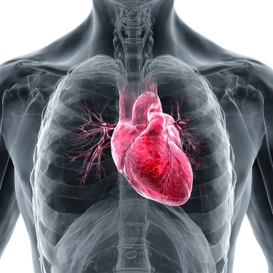 pericardial effusion treatment in india